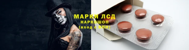 дмт Алексин