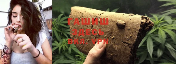 индика Абаза