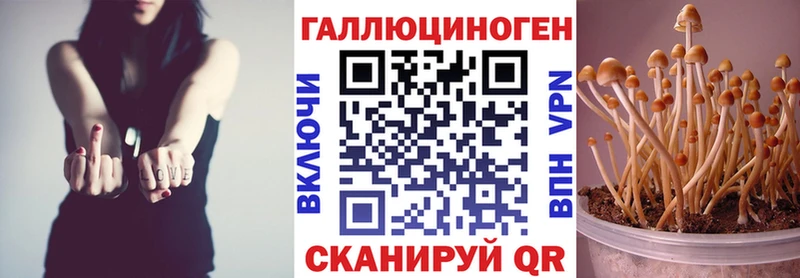 гидра маркетплейс  Тулун  Галлюциногенные грибы ЛСД 